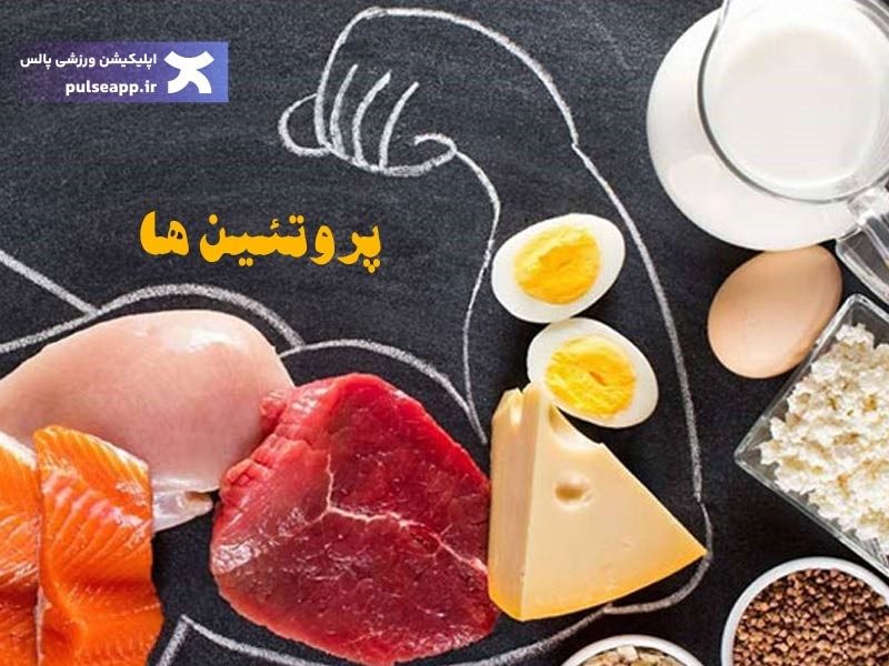 پروتئین برای قبل از تمرین