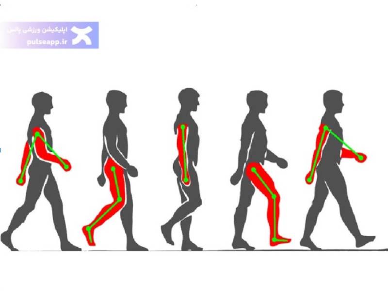 تاثیر پیاده روی روی بدن