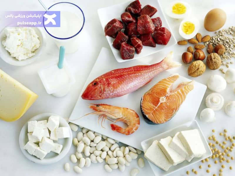 پروتئین برای ریکاوری بدن