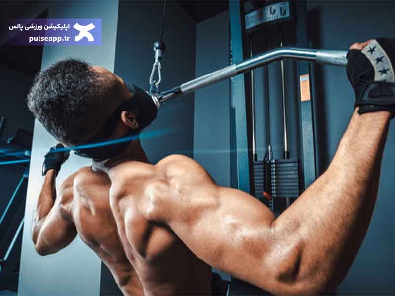 تمرین بدنسازی فول بادی