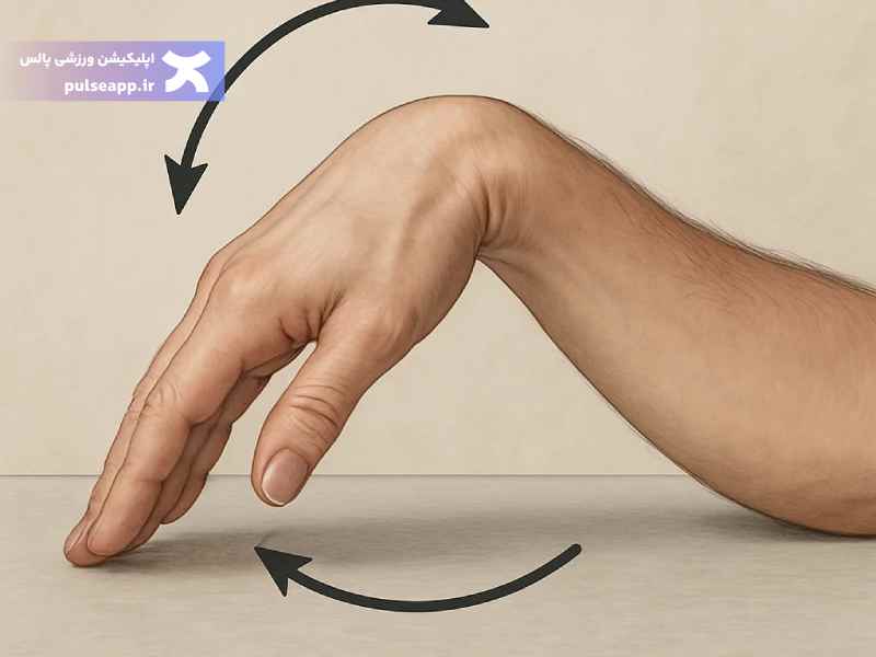 خم و راست کردن مچ دست