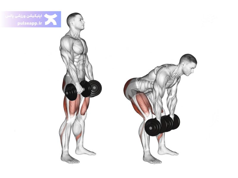 ددلیفت برای پا بانوان