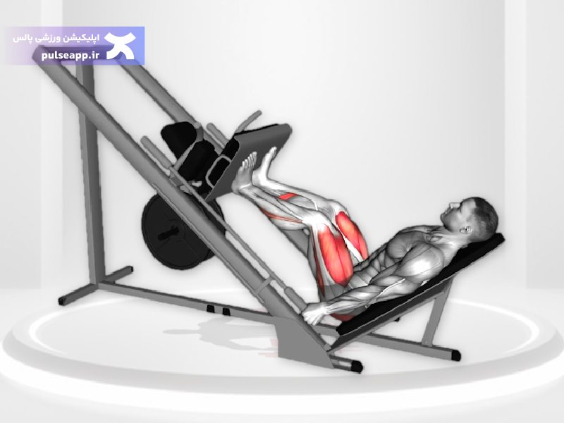 پرس پا با دستگاه بانوان