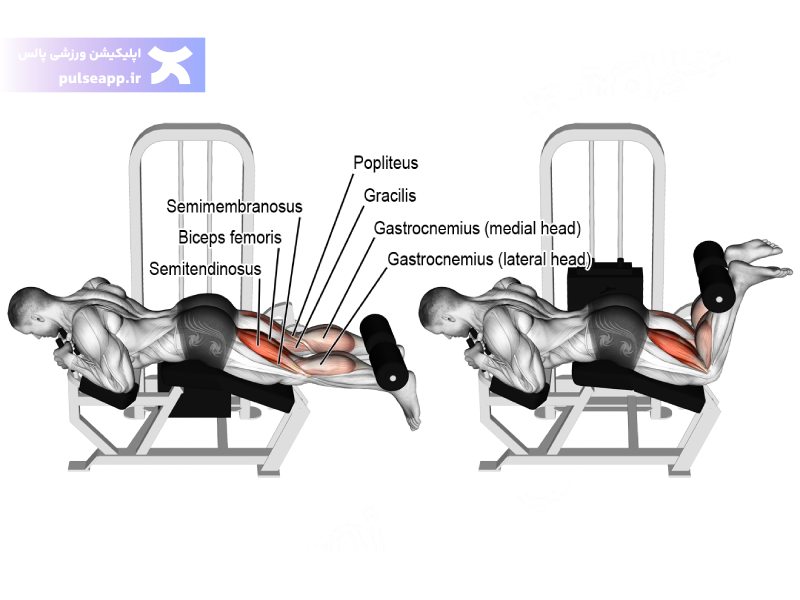 پشت پا دستگاه بانوان