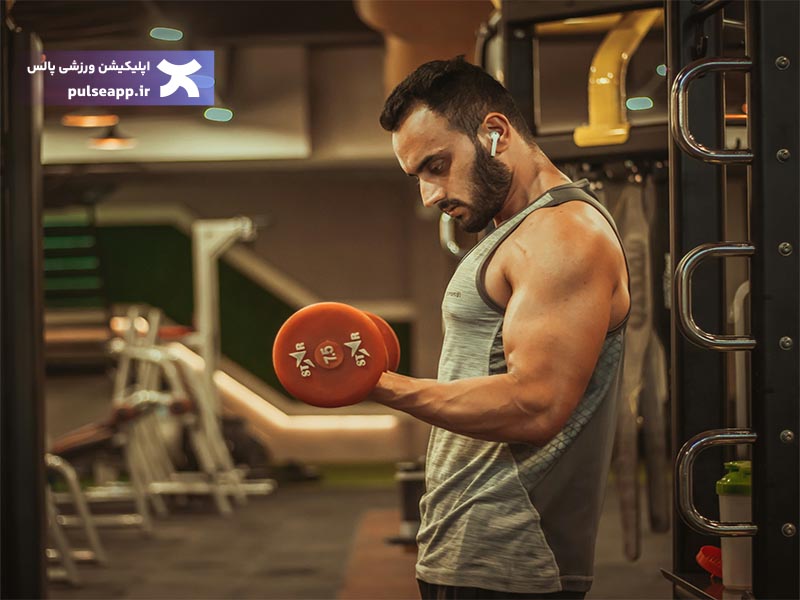 تغذیه عضله سازی