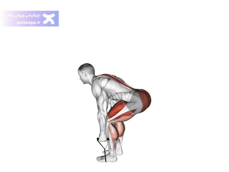 ددلیفت با کش ورزشی