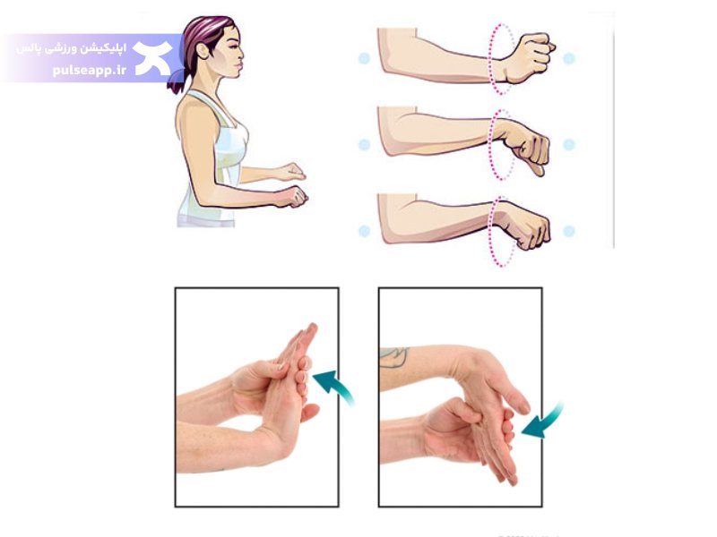 چرخش مچ و کشش کف دست