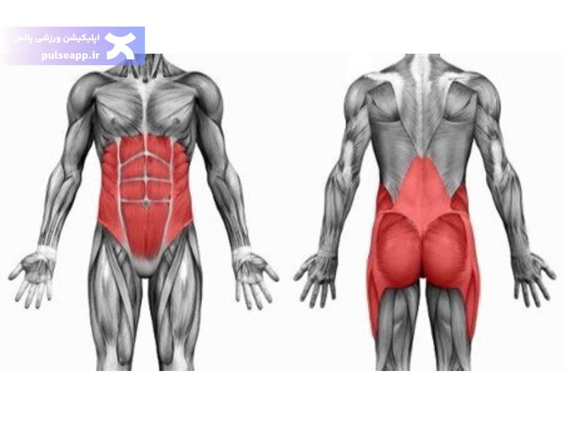 اصلاح وضعیت بدنی و لگن برای سیکس پک