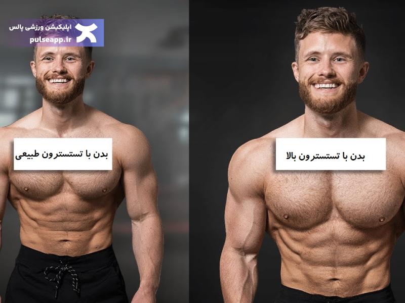 تفاوت سطح تستوسترون در بدن