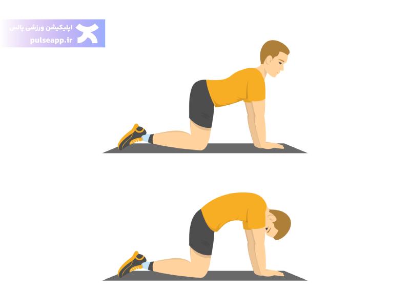 حرکت گربه گاو برای تقویت رحم