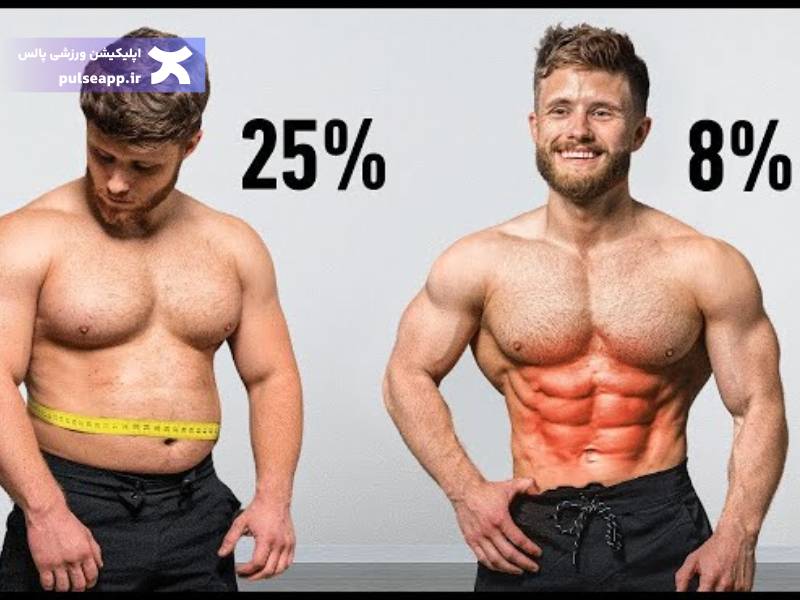 سطح چربی برای ساخت سیکس پک