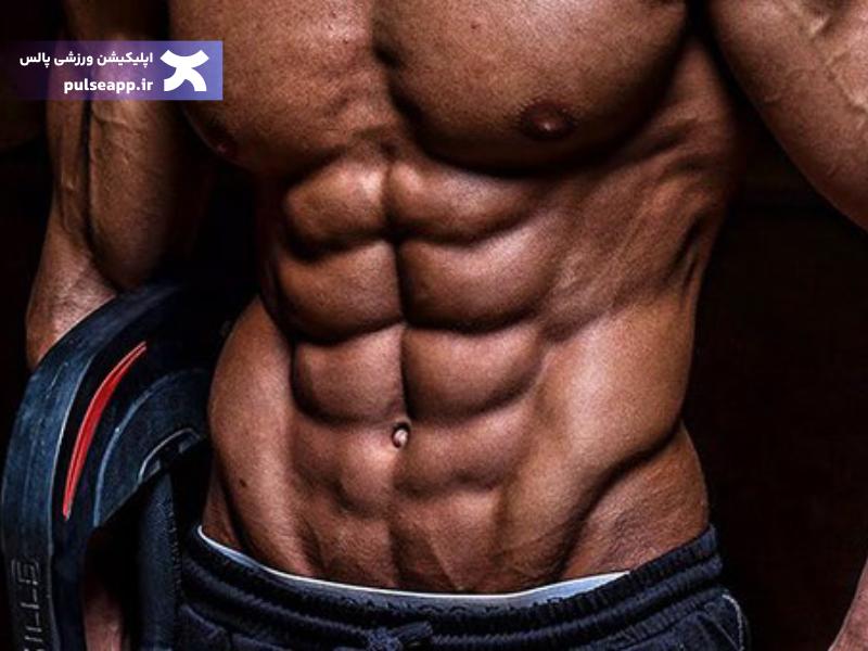 سیکس پک منظم