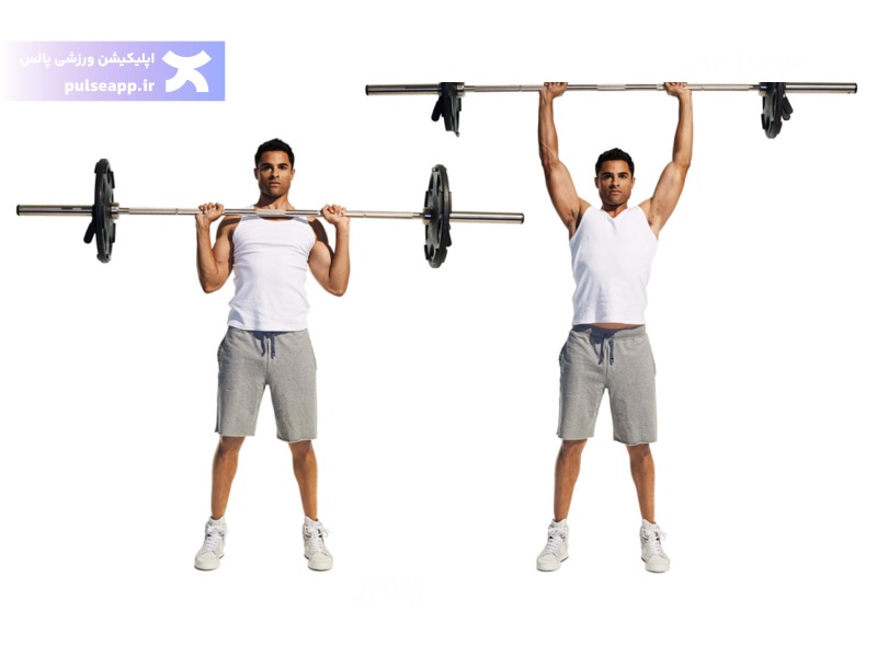 پرس سرشانه هالتر