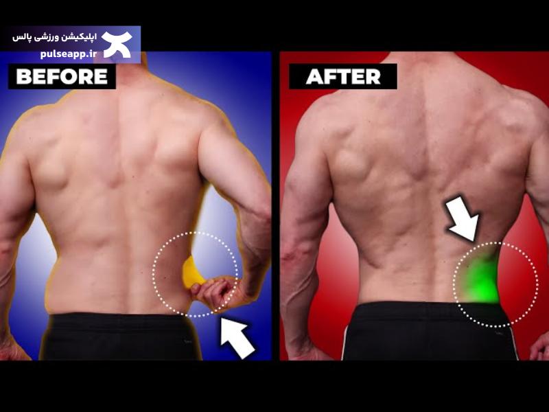 تصویر ورزش برای آب کردن چربی پشت کمر؛ ۸ حرکت موثر برای فرم‌دهی و تناسب اندام