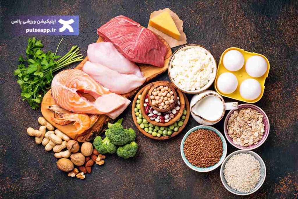 پروتئین برای لاغری