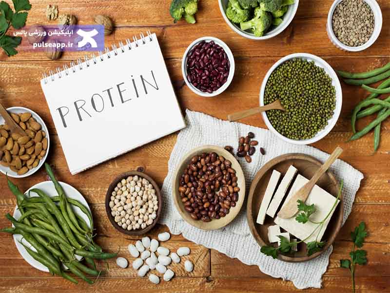 برنامه رژیم پروتئین