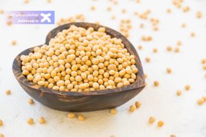 تصویر خواص سویا برای لاغری؛ چربی‌سوز طبیعی
