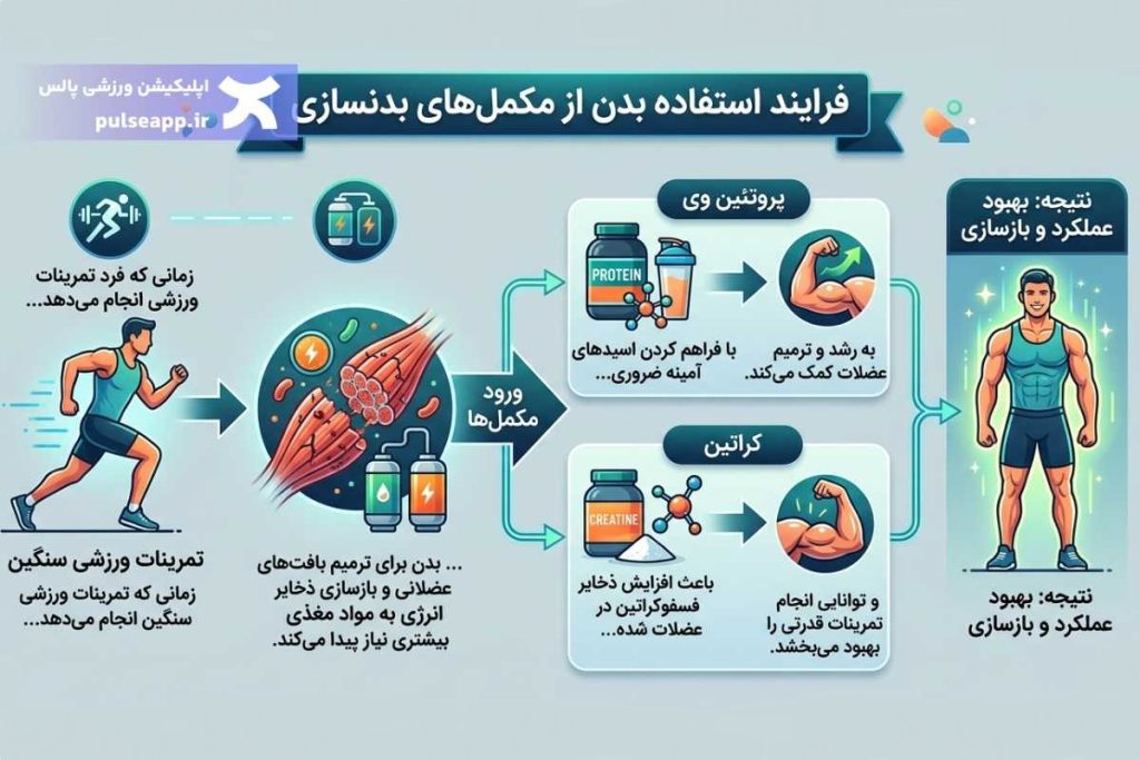 تاثیر مکمل های بدنسازی بر بدن